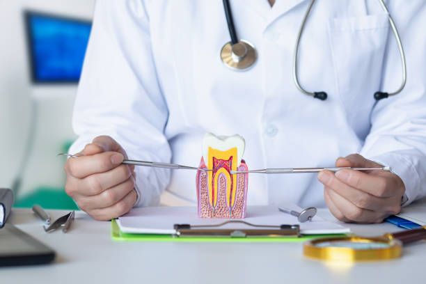 Professional Emergency Dental Service in WI